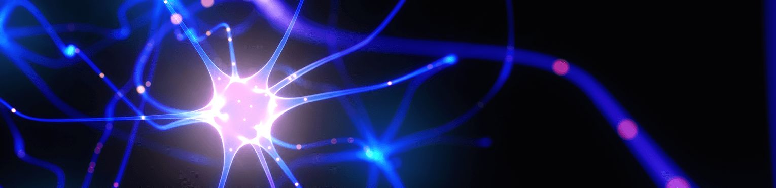 Komórki nerwowe - budowa i funkcje. Jakie są rodzaje neuronów?